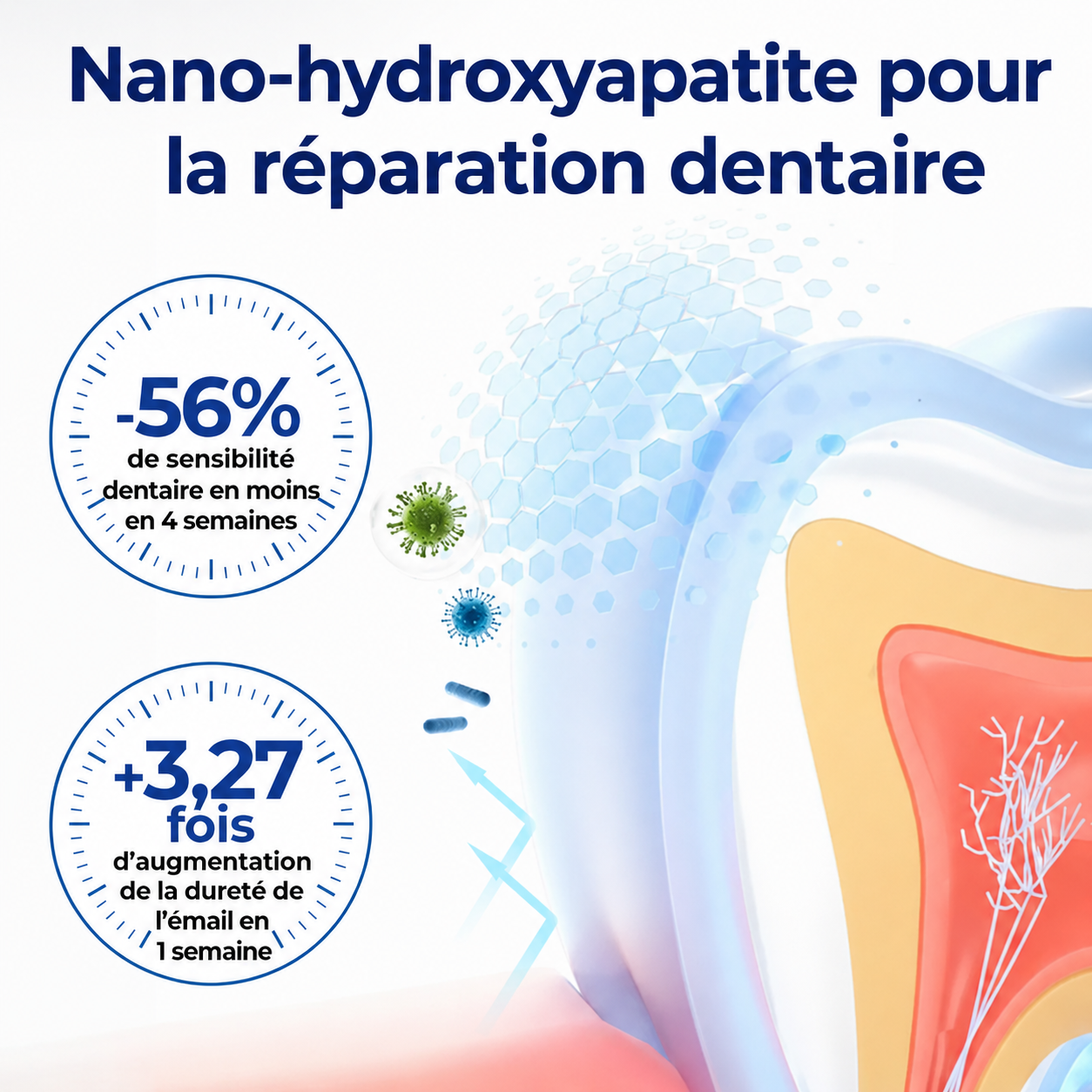 🆙 drilena® Reparierende Mundpflege-Lösung mit Bienengift — Konzentriertes Mundwasser für frischen Atem & Anti-Plaque-Schutz